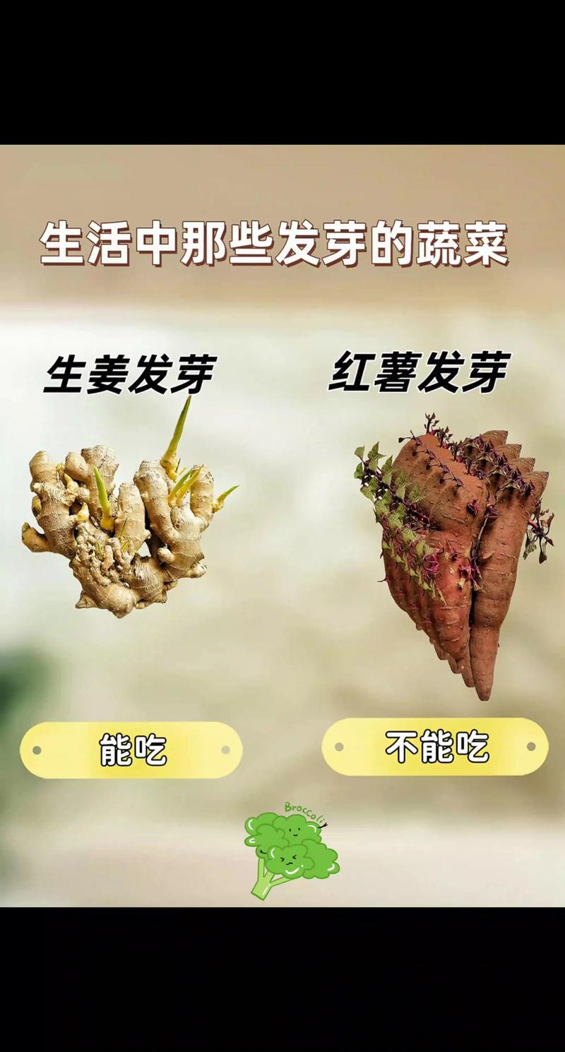 寻找家居生活的简便之道