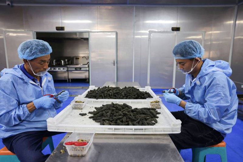 生活中的小智慧:那些你可能忽视的生活常识